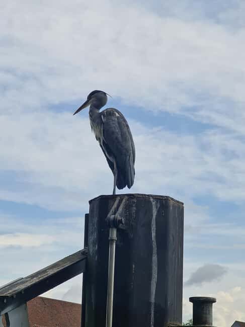 Switzerland: Private nature safari with a local guide. Check out the Alps, lakes, and more - Tour Duration and Logistics