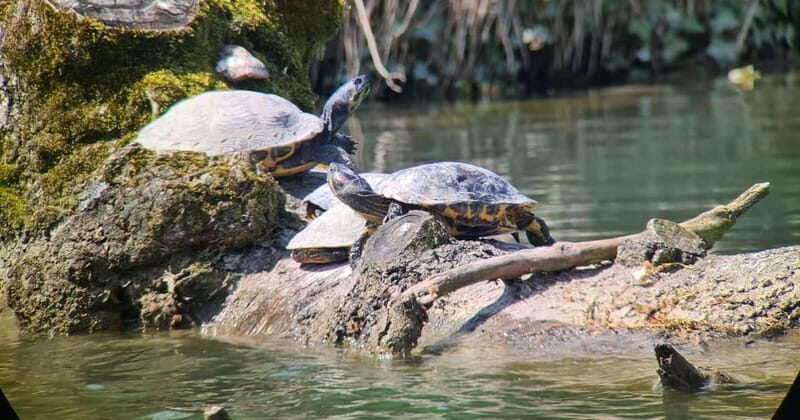 Switzerland: Private nature safari with a local guide. Check out the Alps, lakes, and more - Detailed Tour Breakdown