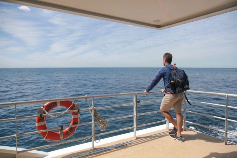 Sydney: 2.5-Hour Discovery Whale Watching Tour by Catamaran - Final Thoughts