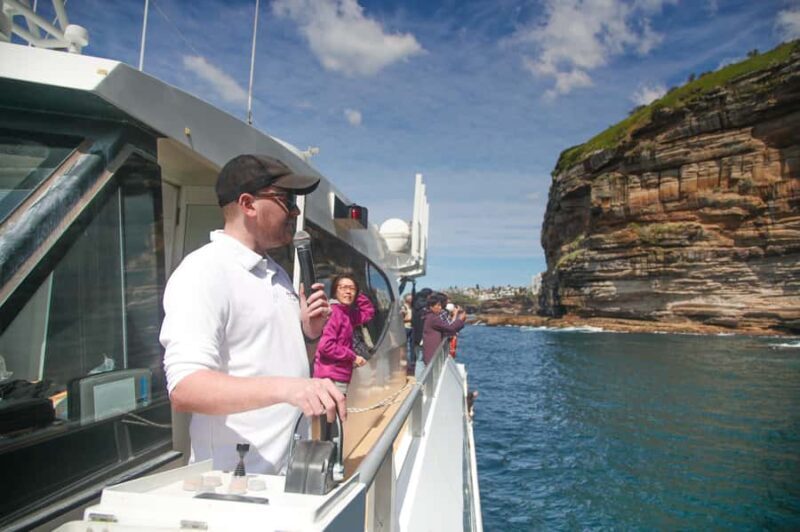 Sydney: 2.5-Hour Discovery Whale Watching Tour by Catamaran - FAQ