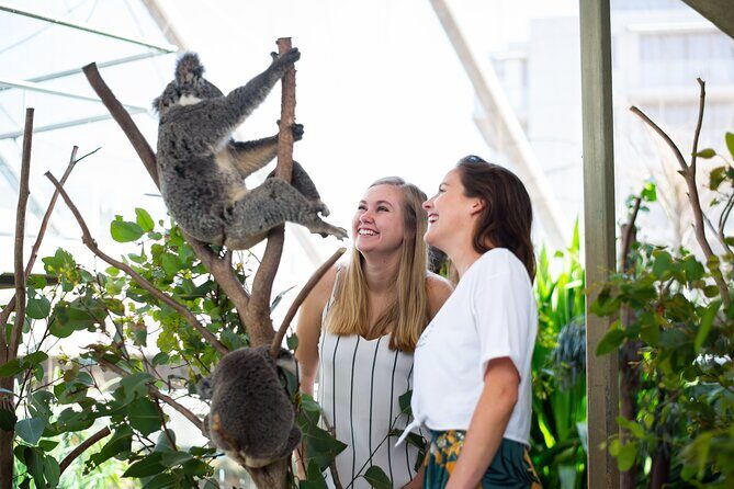 Sydney Attractions Pass: SEA LIFE Aquarium, Sydney Tower Eye, WILD LIFE Zoo and Madame Tussauds - What Does the Experience Cover?