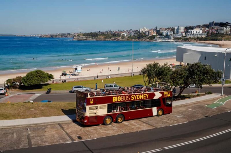 Sydney: Big Bus Hop-On Hop-Off Tour with Optional Cruise - Key Points