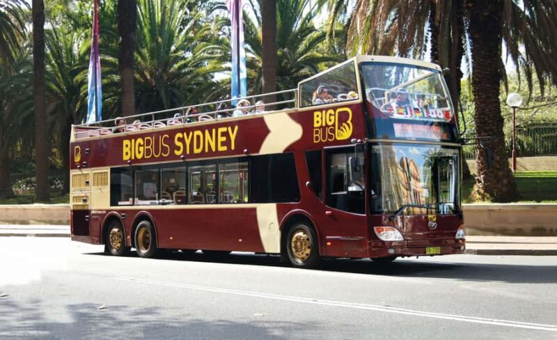 Sydney: Big Bus Hop-On Hop-Off Tour with Optional Cruise - Who Should Consider This Tour?
