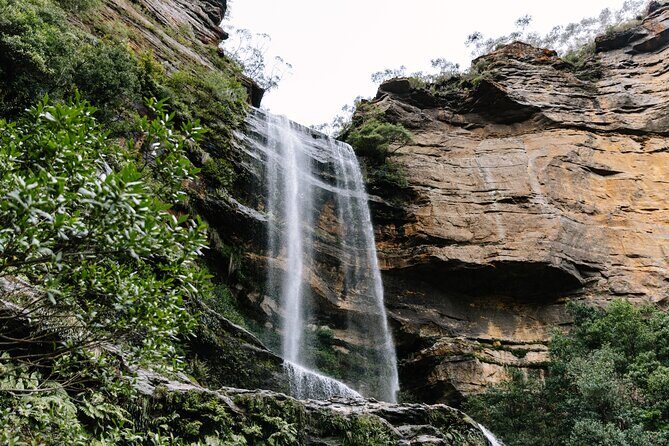Sydney Blue Mountains Day Tour with Wildlife Park and Waterfalls - What the Tour Offers