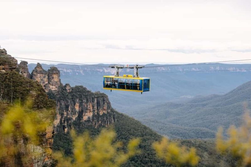 Sydney: Blue Mountains Scenic World, Wildlife Park and Lunch - The Practical Side: Transportation, Price, and Comfort