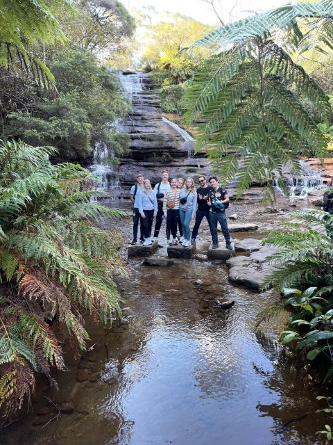 Sydney: Blue Mountains Tour with Scenic World & Lunch Option - Practical Aspects and Overall Value