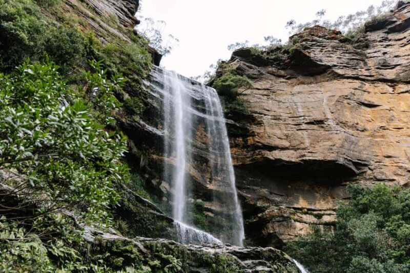 Sydney: Blue Mountains Tour with Wildlife Park & Waterfalls - The Practical Side