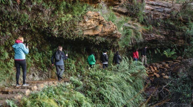 Sydney: Blue Mountains Wildlife & Bushwalk Small-Group Tour - Frequently Asked Questions