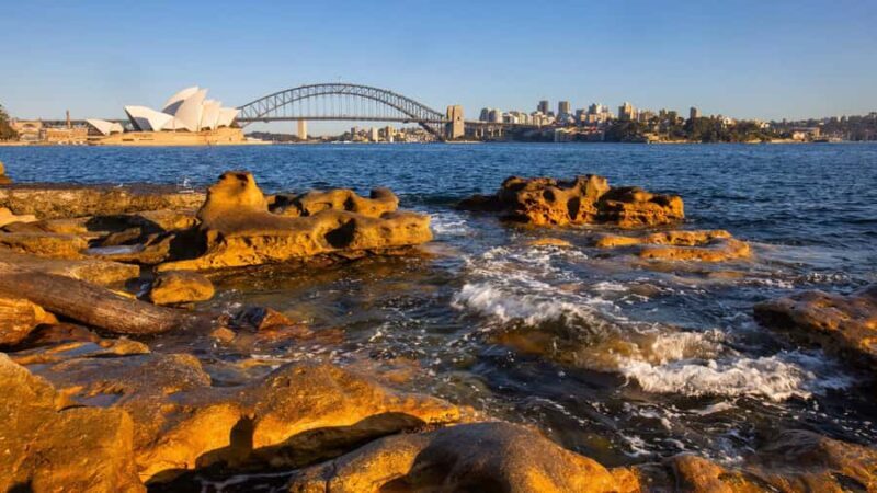 Sydney: Bondi Beach, Opera House & Sydney City Private Tour - Our Take on the Value