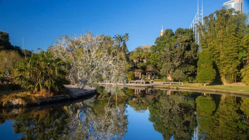 Sydney: Bondi Beach, Opera House & Sydney City Private Tour - Who Should Consider This Tour