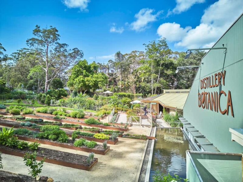 Sydney: Central Coast Day Trip with Wildlife Sanctuary - Potential Downsides