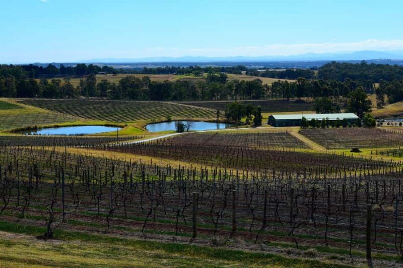 Sydney: Chef-Led Hunter Valley Food & Wine Tour - FAQ
