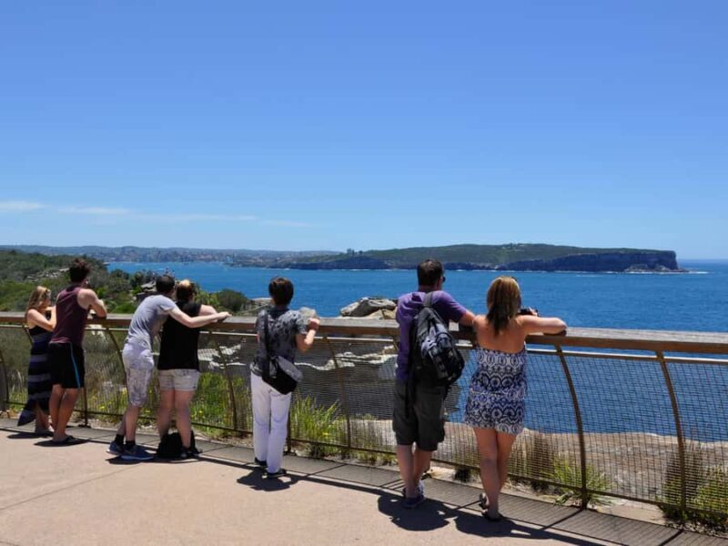 Sydney: City Highlights Guided Bus Tour - The Guide and Transportation