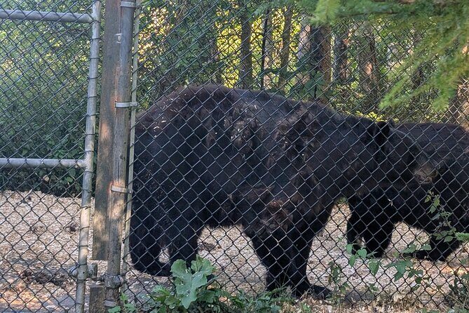 Sydney City Roots and Wildlife Trails of Cape Breton Island - Final Thoughts