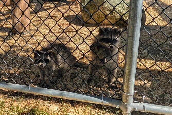 Sydney City Roots and Wildlife Trails of Cape Breton Island - FAQ