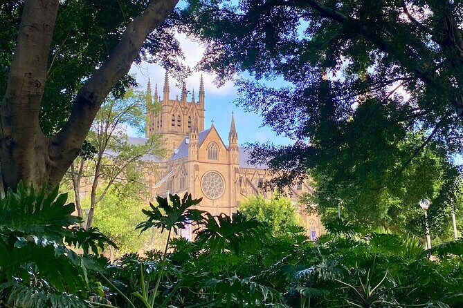 Sydney City Walking Tour - Key Points