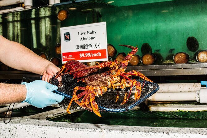 Sydney Fish Market Discovery Tour - Who Should Consider This Tour?