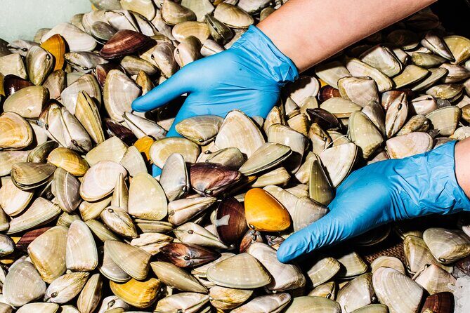 Sydney Fish Market Discovery Tour - The Sum Up