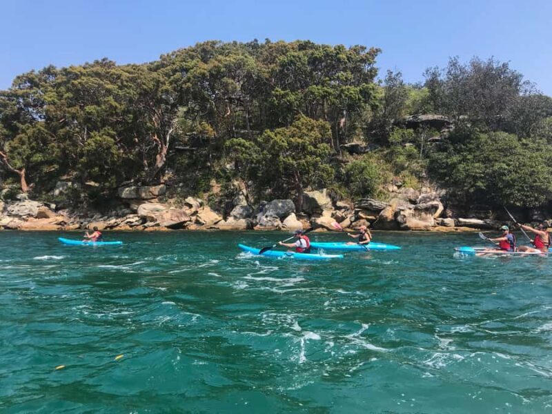Sydney: Guided Kayak Tour of Manly Cove Beaches - Key Points