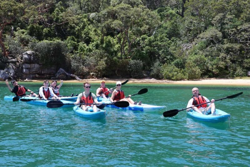 Sydney: Guided Kayak Tour of Manly Cove Beaches - What to Expect from the Tour