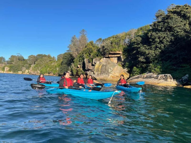 Sydney: Guided Kayak Tour of Manly Cove Beaches - The Sum Up