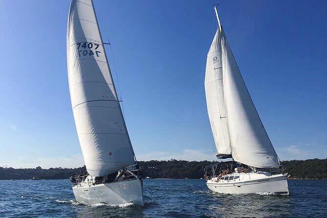 Sydney Harbour Sailing Experience - How Do Travelers Feel About It?