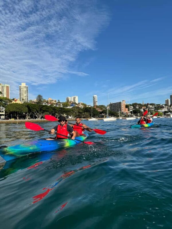 Sydney: Harbour Sunrise Kayak Tour - An Honest Look at the Harbour Sunrise Kayak Experience
