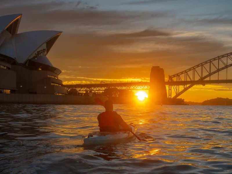 Sydney: Harbour Sunrise Kayak Tour - Coffee, breakfast, and the Navy Bear Cafe finish