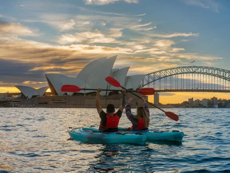 Sydney: Harbour Sunrise Kayak Tour - Dolphins, whales, and marine life: what you might see