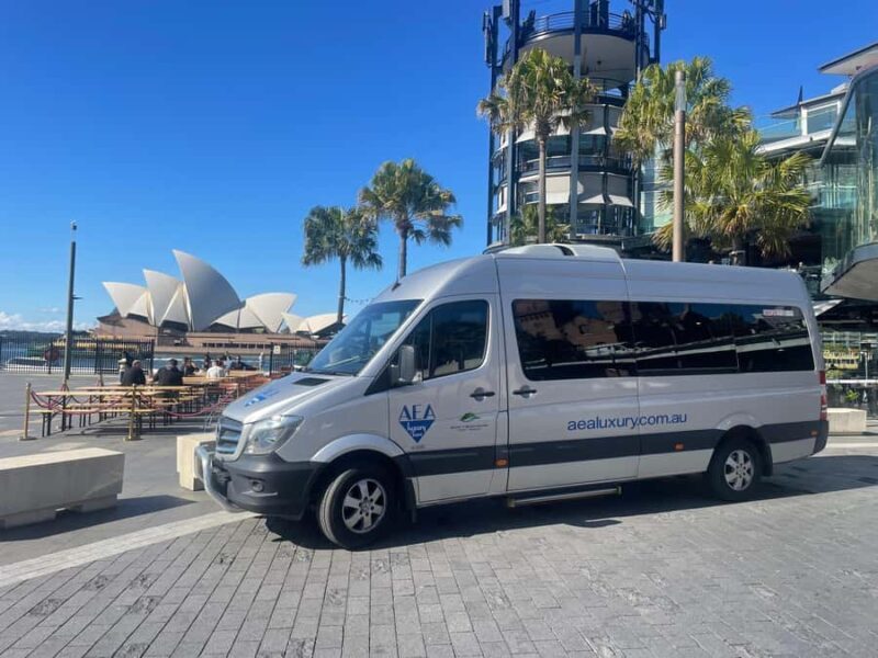 Sydney Harbour to Bondi: Small Group HalfDay Experience - What to Expect from the Tour