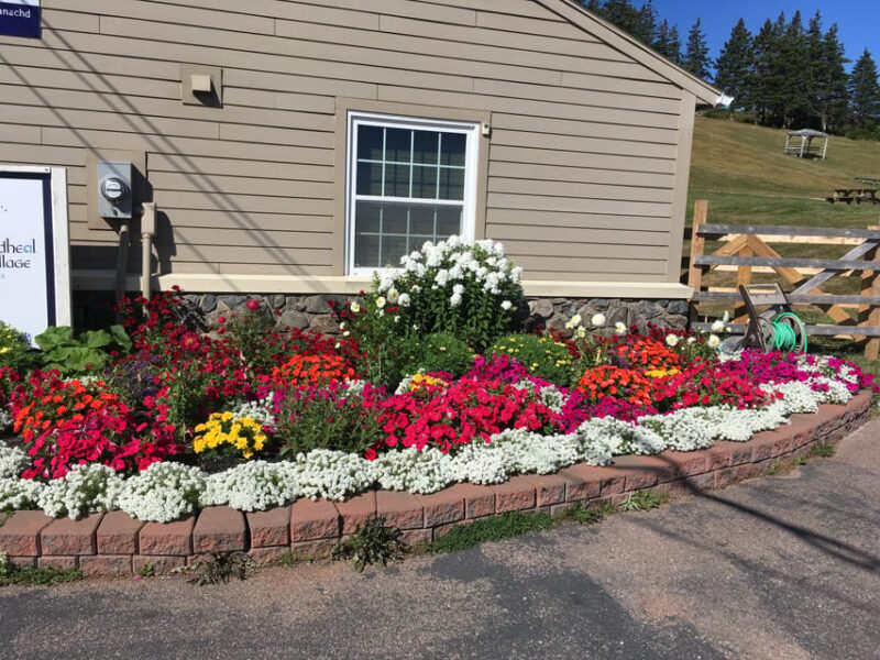 Sydney: Highland Village & Bell Museum Cruise Excursion - FAQ