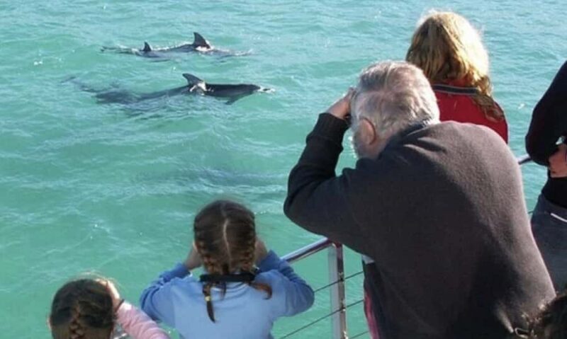 Sydney: Jervis Bay Day Trip with Dolphins, Roos & Beach Time - The Itinerary in Detail