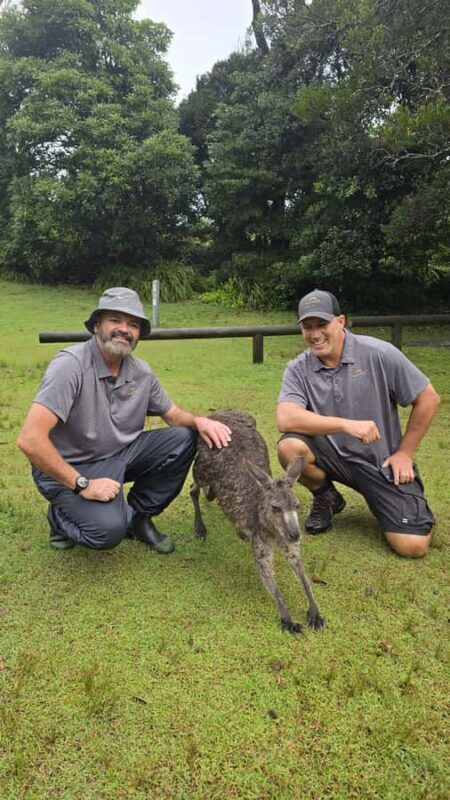 Sydney: Jervis Bay Day Trip with Dolphins, Roos & Beach Time - Who Would Love This Tour?