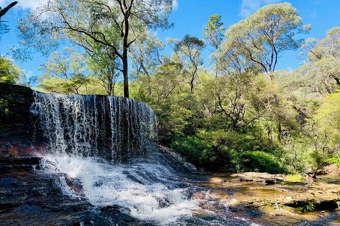 Sydney: Luxury Blue Mountains Adventure as a Small Group Day Tour - FAQs