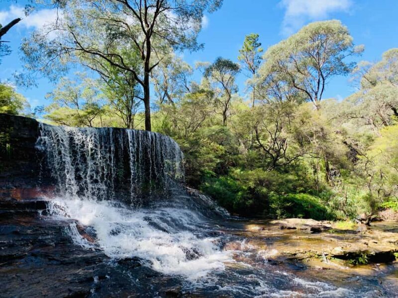 Sydney: Luxury Blue Mountains Adventure with Wentworth Falls - The Itinerary: What Makes Each Stop Special