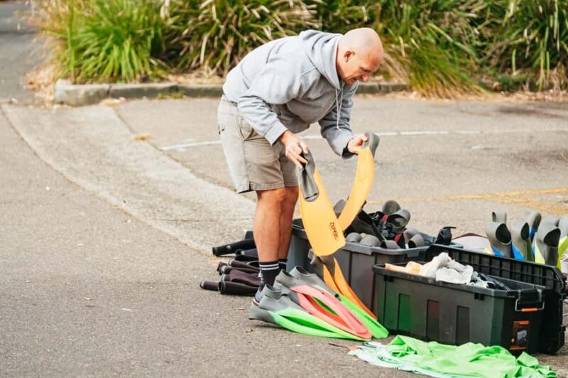 Sydney: Manly and Shelly Beach Snorkeling Tour - The Guides and Experience Quality