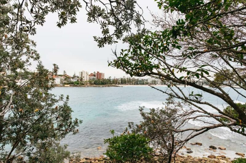 Sydney: Manly and Shelly Beach Snorkeling Tour - Value for Money