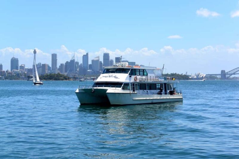 Sydney: Morning Sightseeing Bus to Bondi with Lunch Cruise - A Closer Look at the Tour Experience