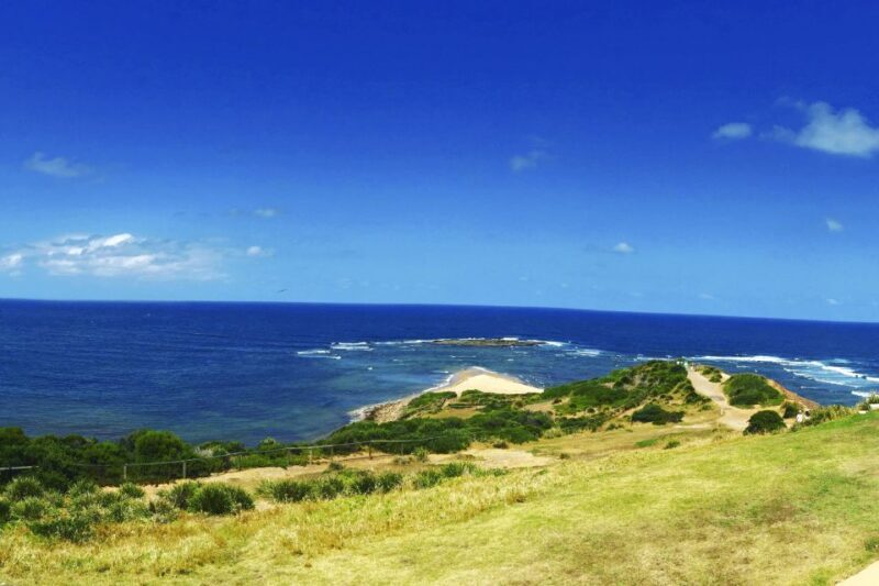 Sydney: Northern Beaches and Ku-ring-gai National Park Tour - The Experience and What to Expect