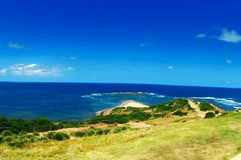 Sydney: Northern Beaches and Ku-ring-gai National Park Tour - Final Thoughts