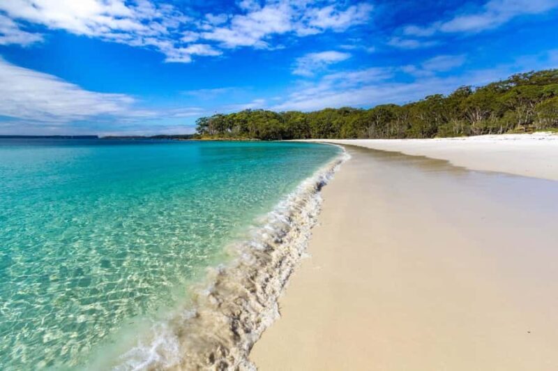 Sydney: Port Stephens Day Trip with Dolphin Cruise or Hike - A Full Breakdown of the Tour Experience