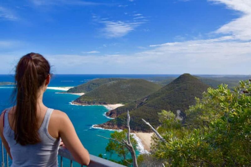 Sydney: Port Stephens Day Trip with Dolphin Cruise or Hike - Real Traveler Insights
