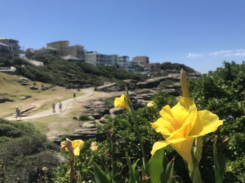 Sydney: Private Custom Tour with a Local  Icons & Gems - Real Traveler Feedback