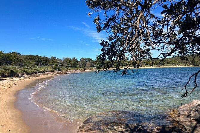 Sydney Private Tour Inc The Royal National Park and Symbio Zoo - FAQs