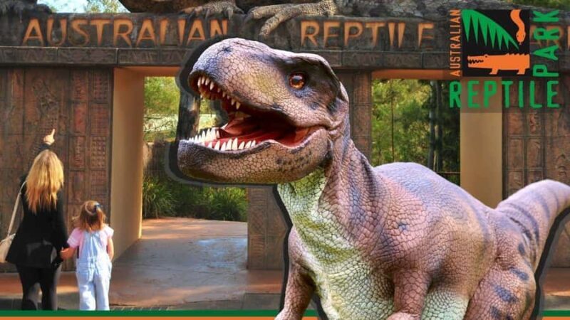 Sydney: Reptile Park and Avoca Beach Day Trip with Entry - Exploring the Day in Detail