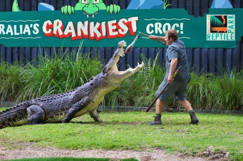 Sydney: Reptile Park and Avoca Beach Day Trip with Entry - Who Is This Tour Best For?