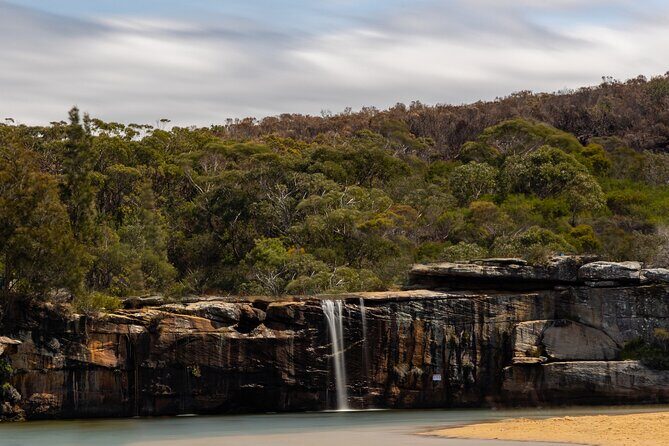 Sydney: Royal National Park Day Trip with Picnic and Swim - An In-Depth Look at the Royal National Park Day Trip