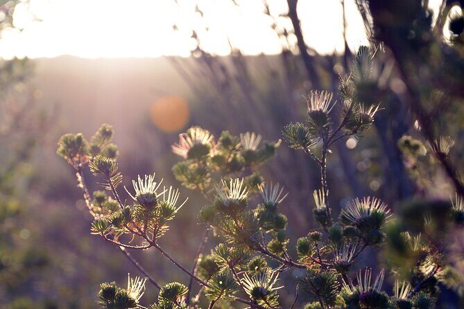 Sydney: Royal National Park Day Trip with Picnic and Swim - Final Thoughts