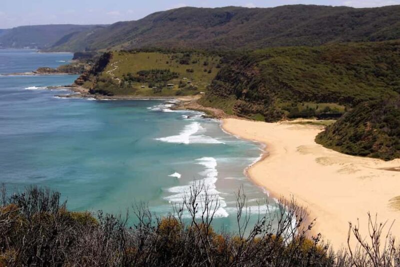 Sydney: Royal National Park private day tour - Key Points
