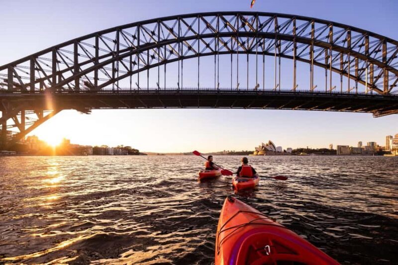 Sydney: Sunrise Kayak, Opera House & Under Harbour Bridge - The Downsides and Considerations